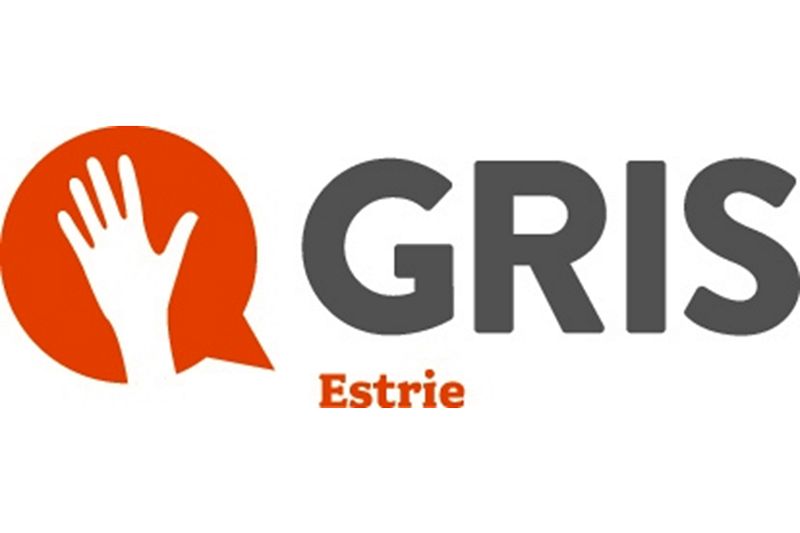 Partenaires Phares : un réseau d’appui pour les adultes 2SLGBTQ+ en Estrie